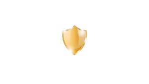 Icon thể hiện sự an toàn của dịch vụ chuyển văn phòng trọn gói.
