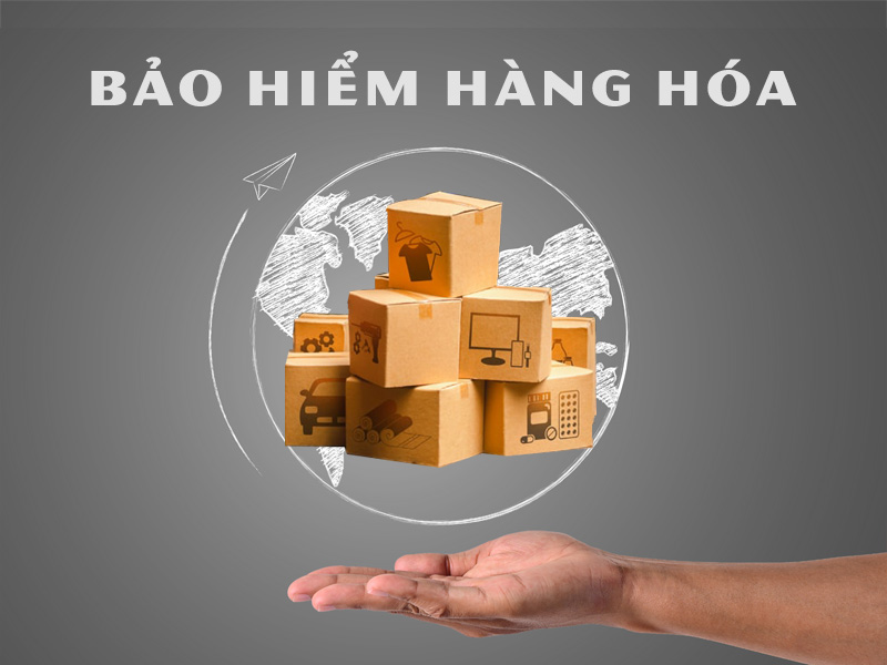 Kiến vàng có bảo hiểm hàng hóa